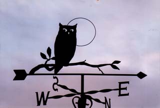 Owl on Branch weathervane